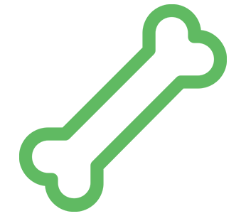 Padecimientos Estructurales